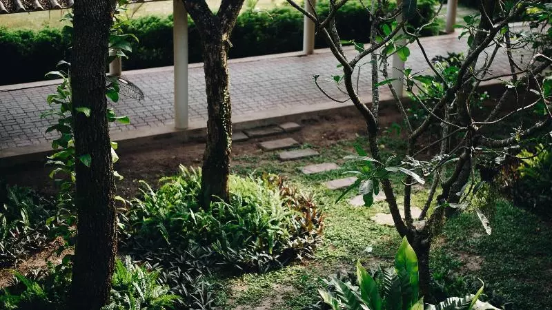 Eco Hotel By Thammasat