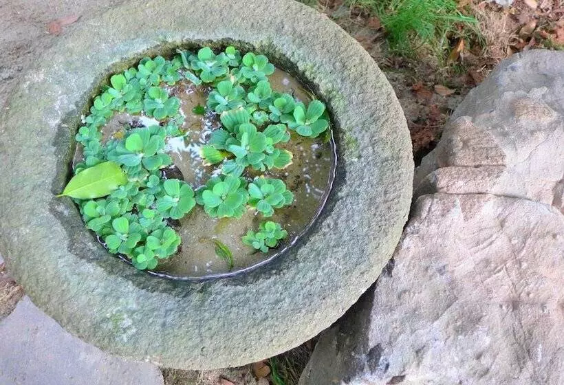 Hotelli Gallery Family