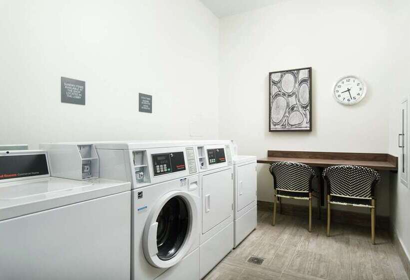 Otel Hilton Garden Inn Memphis Downtown Beale Street