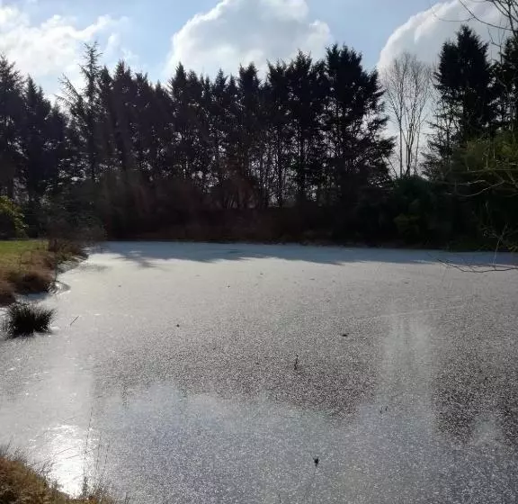 پانسیون Zenbreak Chambre Vue Sur Parc