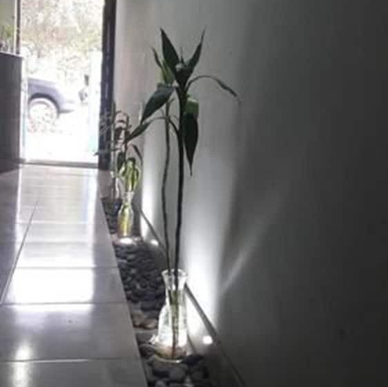 تختخواب و صبحانه Aypa Hostal