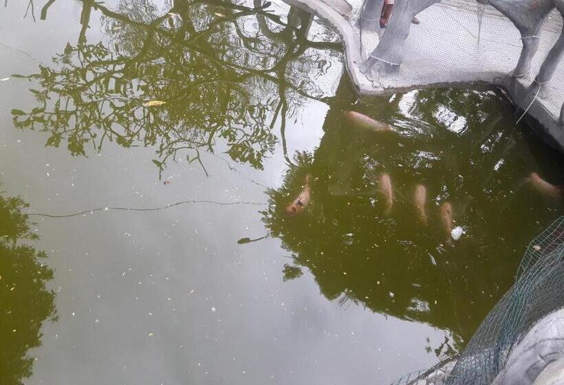 تختخواب و صبحانه Aypa Hostal