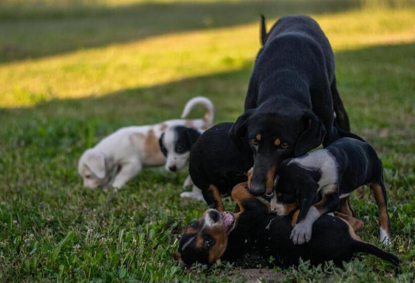 هتل & Restaurant Ada