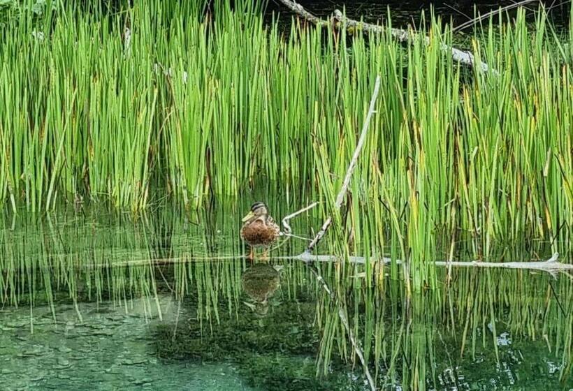 هتل & Restaurant Ada