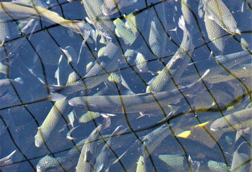 هتل & Restaurant Ada