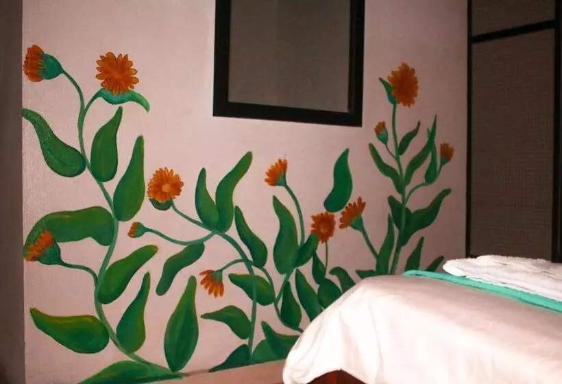 ペンション Casa Pacha