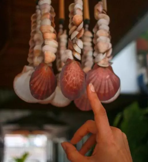 ペンション Casa Pacha