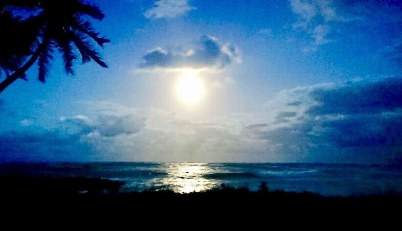 Baoba Breeze Bed & Breakfast Beachfront Paradise