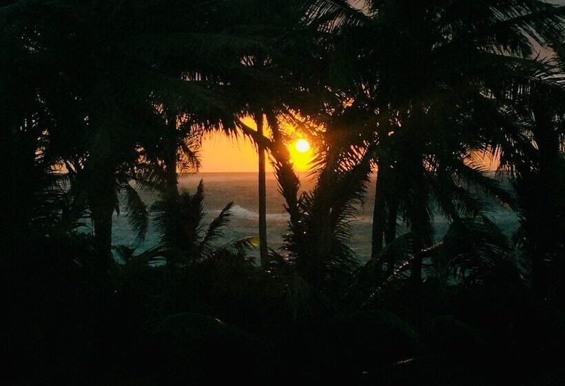 Baoba Breeze Bed & Breakfast Beachfront Paradise