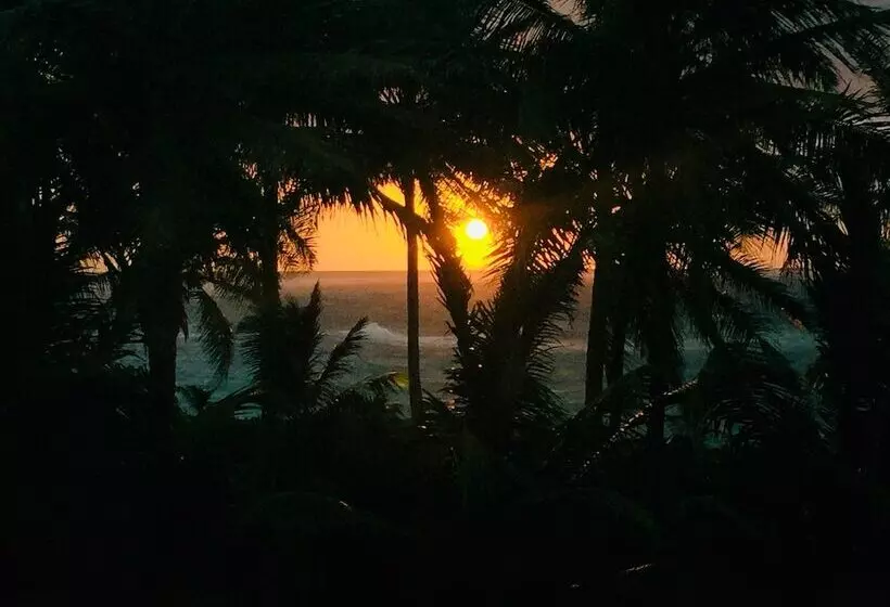 Baoba Breeze Bed & Breakfast  Beachfront Paradise