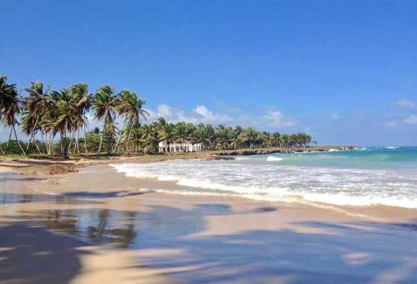 Baoba Breeze Bed & Breakfast Beachfront Paradise