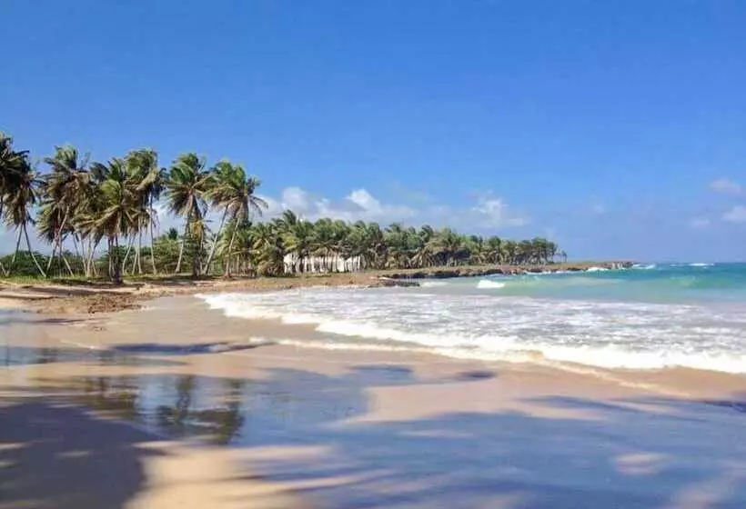 Baoba Breeze Bed & Breakfast  Beachfront Paradise