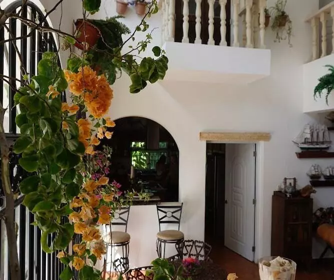 Baoba Breeze Bed & Breakfast  Beachfront Paradise