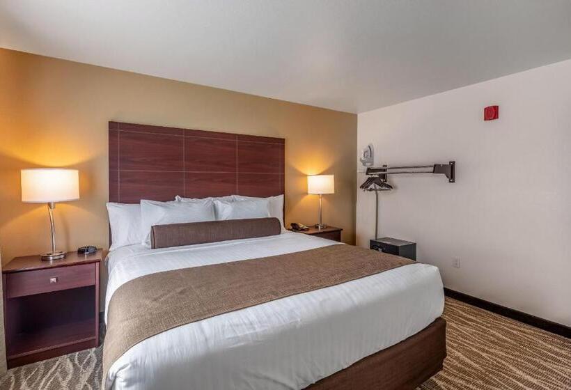 酒店 Cobblestone Inn & Suites  Fairfield Bay