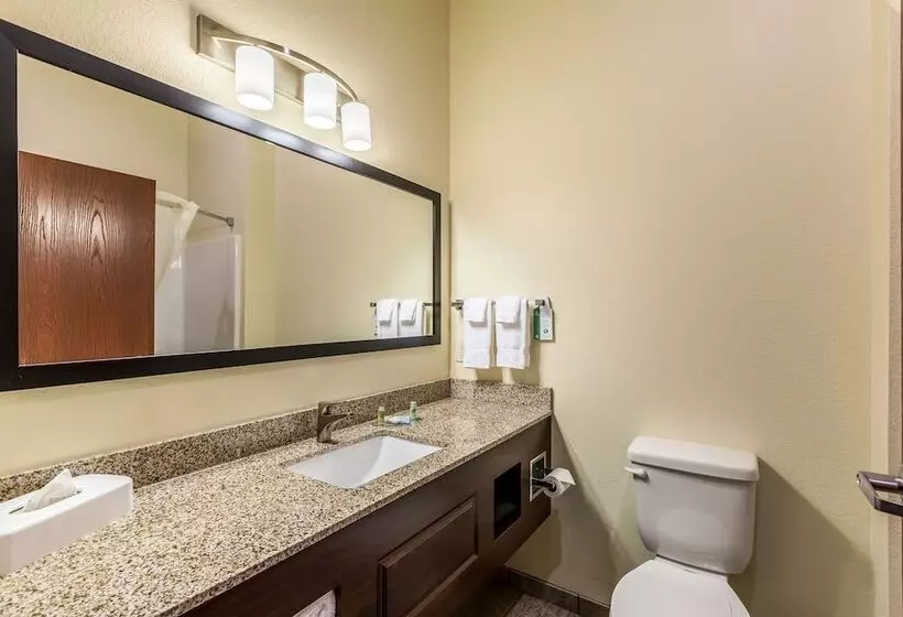 ホテル Cobblestone Inn & Suites  Fairfield Bay