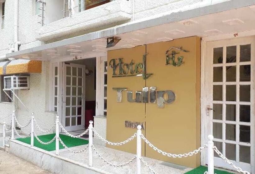 בית מלון כפרי Tulip