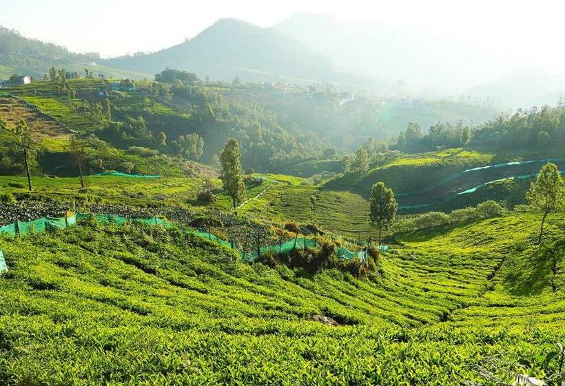 Kurort Logan Camp Ooty