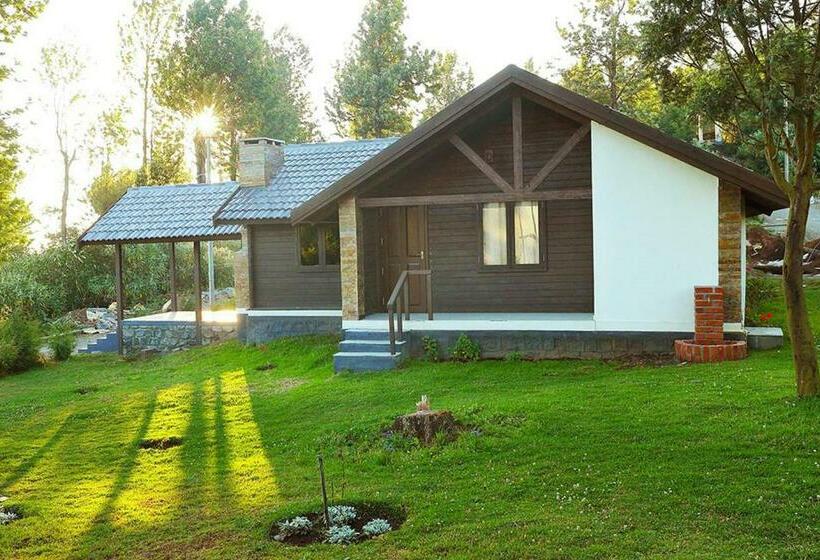 Kurort Logan Camp Ooty