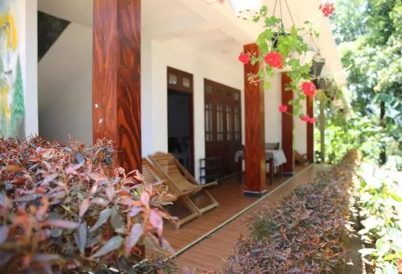 リゾートホテル The Dream Homestay