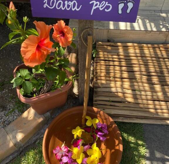 ホテル Pousada Do Porto