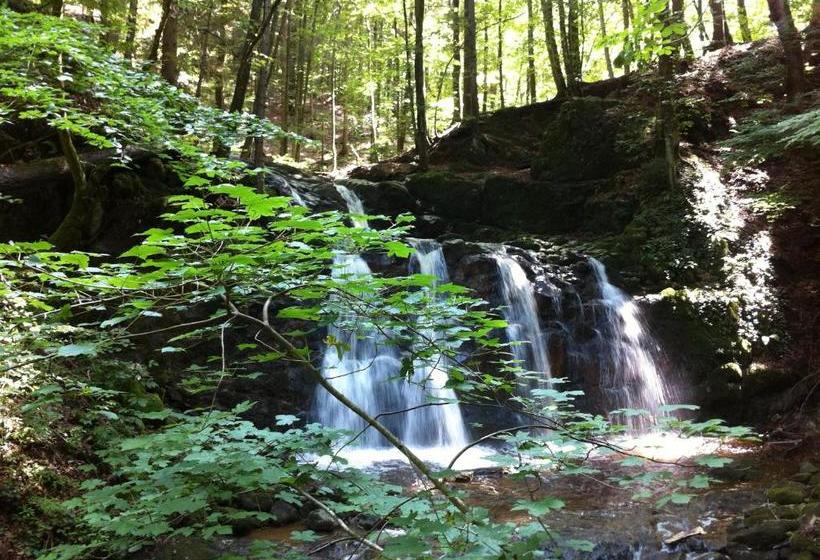 Пансион Bio Schiessentobel