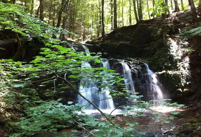 Majatalo Bio Schiessentobel