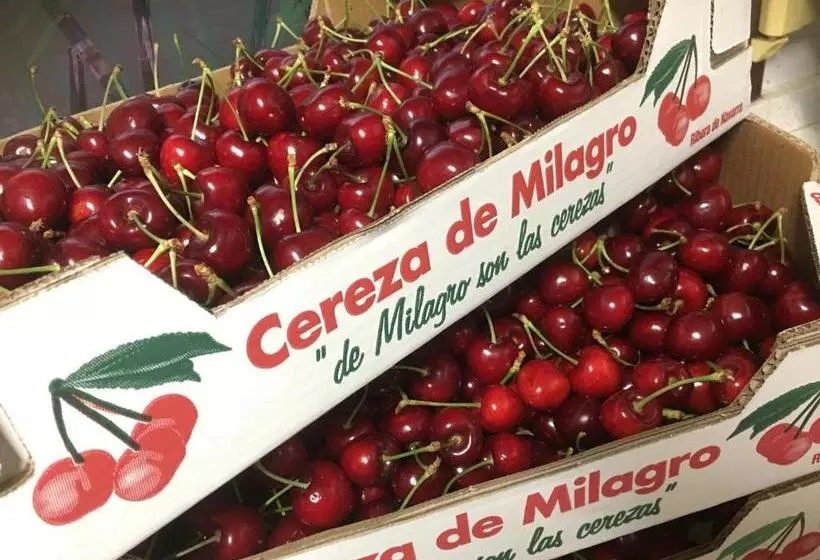 Majatalo La Casa Del Hilario