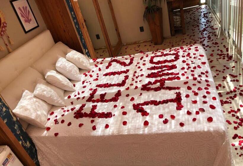 تختخواب و صبحانه Mansion Aline