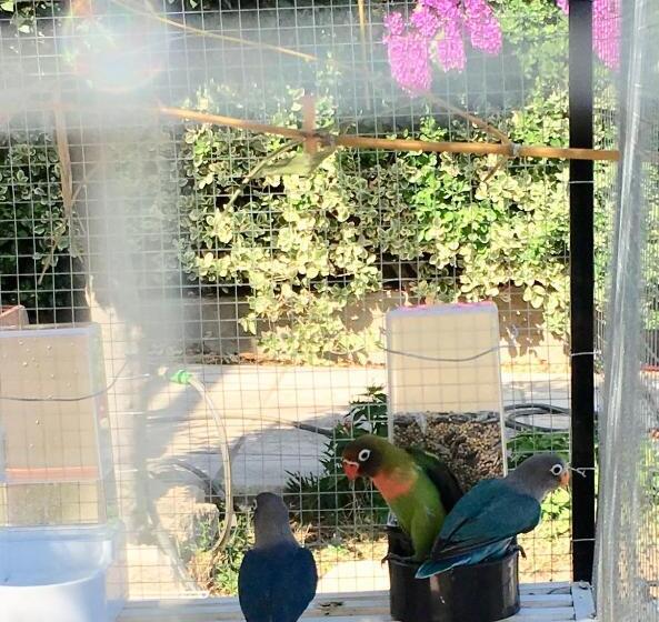 تختخواب و صبحانه Chambre D Hotes L Intemporelle