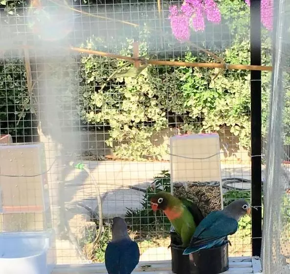 ベッドアンドブレックファースト Chambre D Hotes L Intemporelle