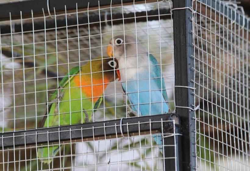 تختخواب و صبحانه Chambre D Hotes L Intemporelle