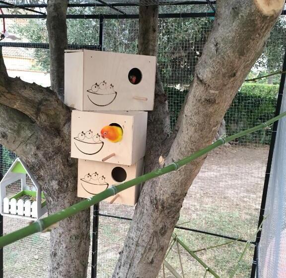 تختخواب و صبحانه Chambre D Hotes L Intemporelle