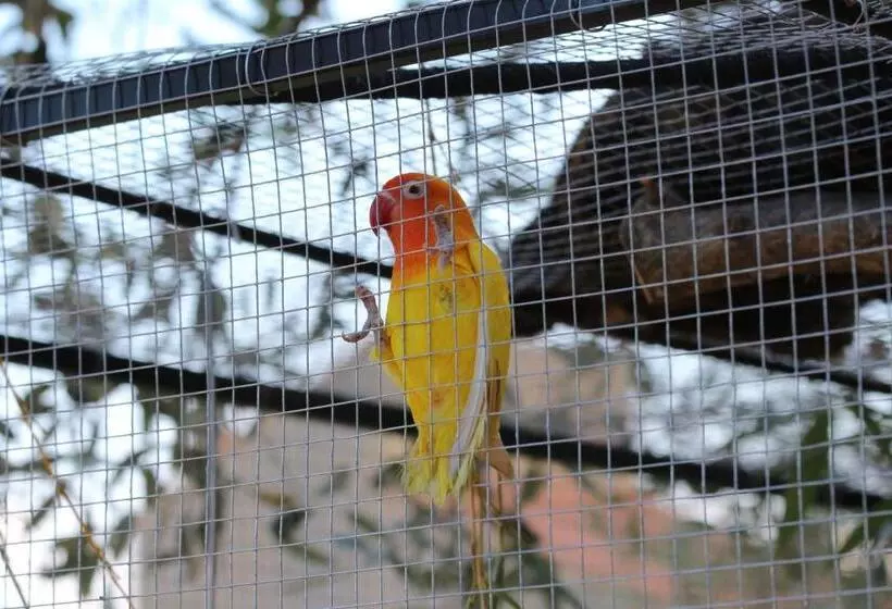 ベッドアンドブレックファースト Chambre D Hotes L Intemporelle