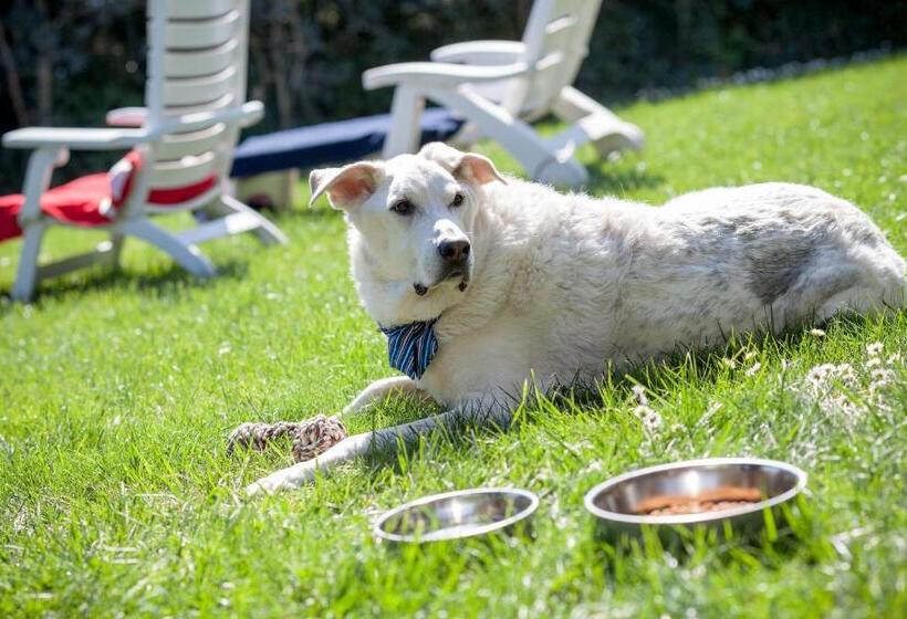 فندق Villa Teresa