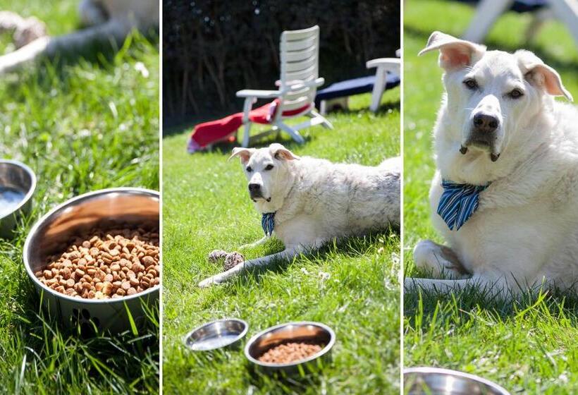 فندق Villa Teresa