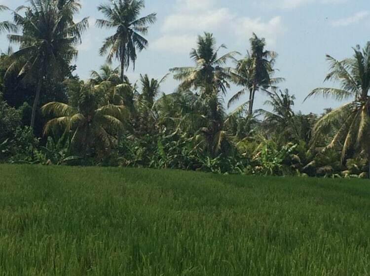 پانسیون Full Moon Guest House