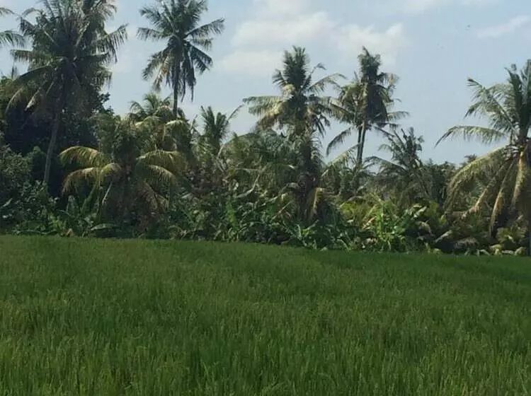 پانسیون Full Moon Guest House