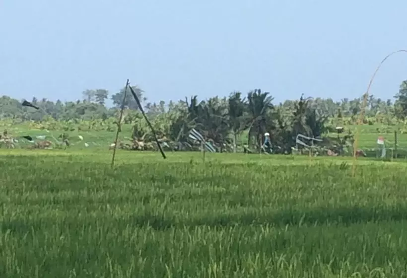 پانسیون Full Moon Guest House