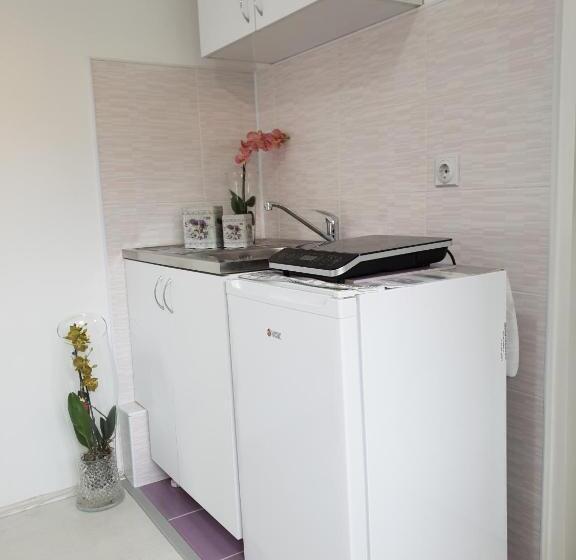 پانسیون Vila Stefanovic