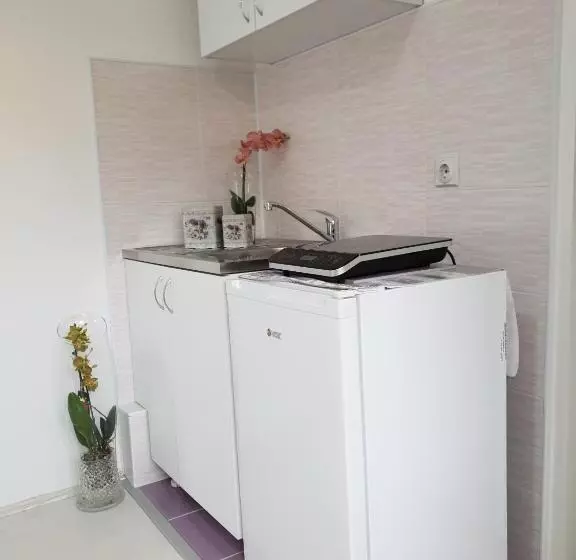 پانسیون Vila Stefanovic