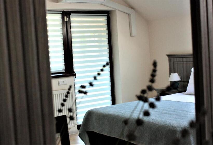 پانسیون Silva House