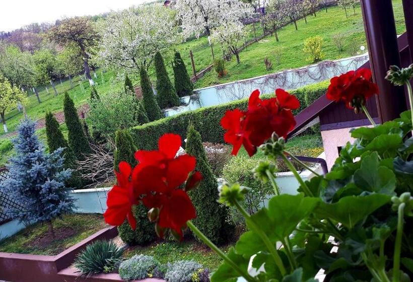 پانسیون Silva House