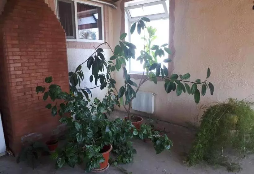 پانسیون La Vitalie Guest House