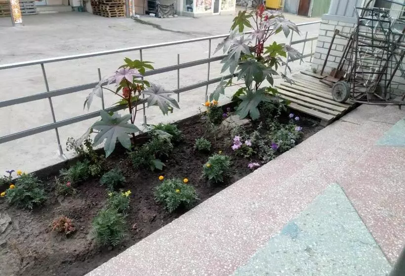 Small Room With Big Cinema