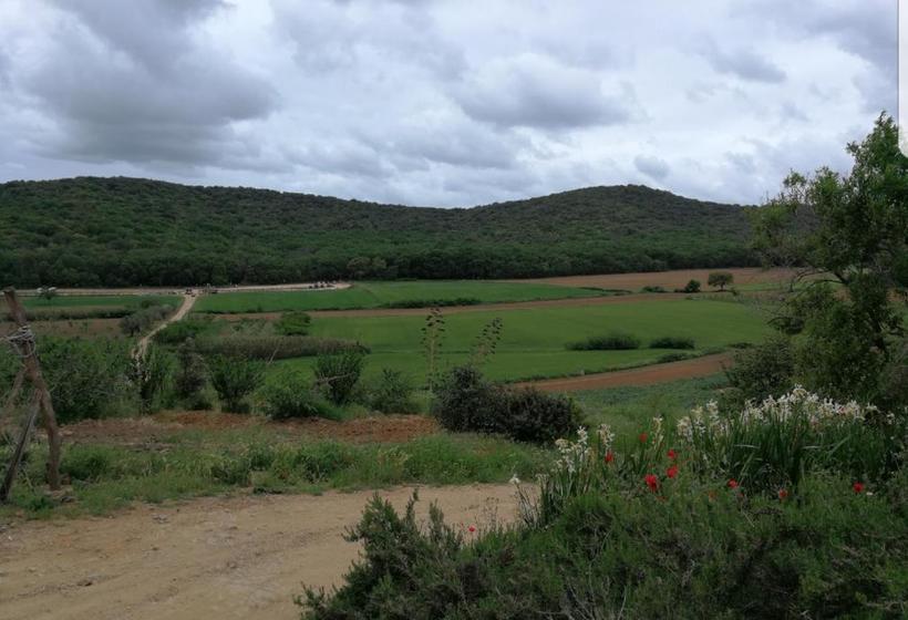 مبيت وإفطار Val Martina