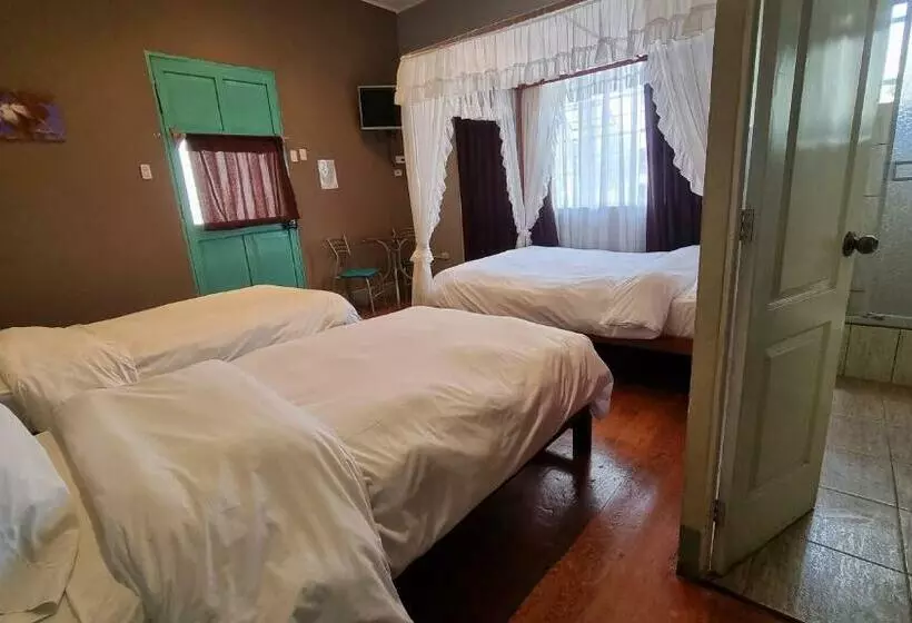 Hotelli La Casa De Algodon