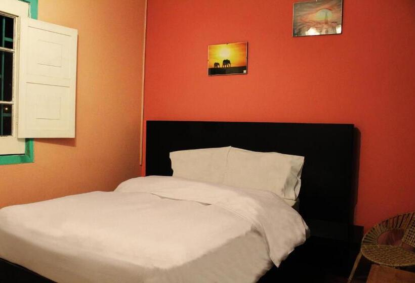 호텔 La Casa De Algodon