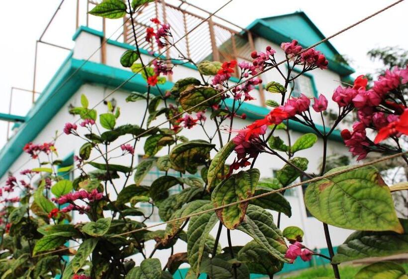 호텔 La Casa De Algodon