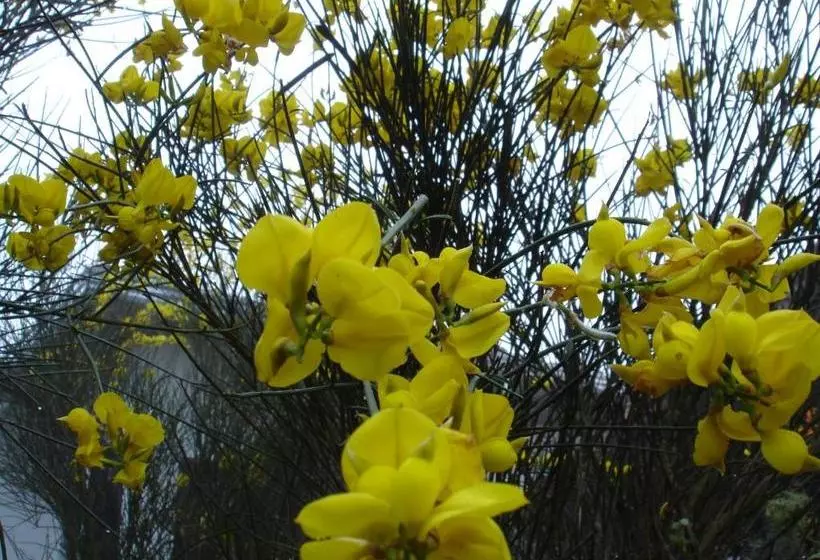 Majatalo Pousada Solar Dos Anjos
