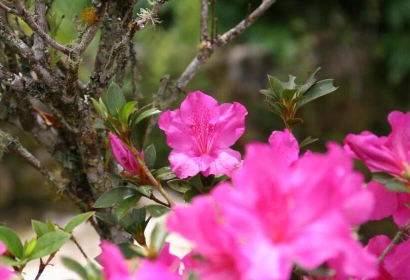 Pension (Hôtel basse catégorie) Pousada Solar Dos Anjos